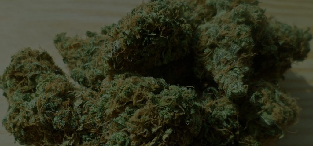 Medical Cannabis Vs.  Recreational Cannabis – What To Know?