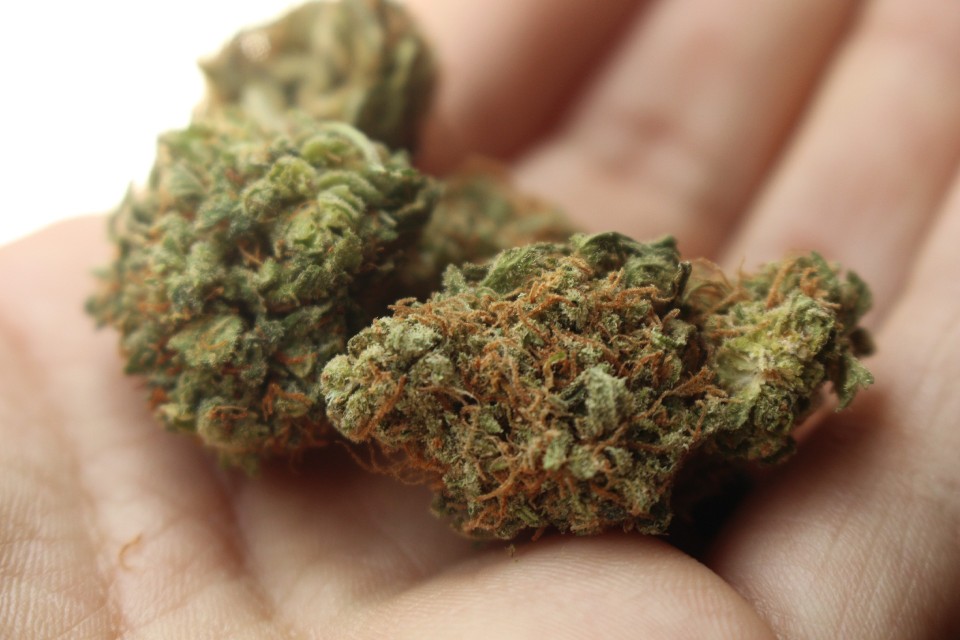 4 Reasons Why Fast Weed Delivery is the Best